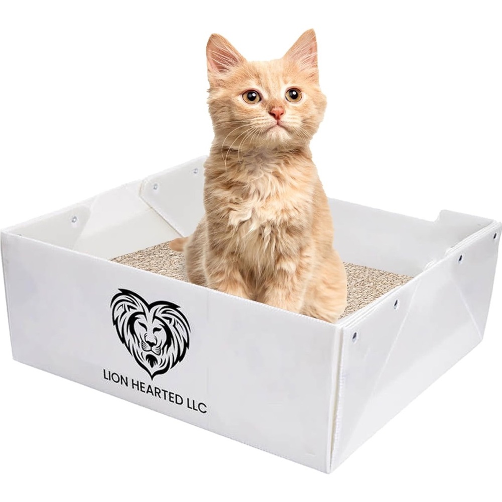 Disposable litter box